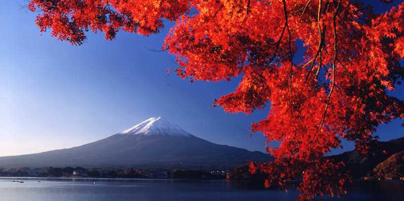 SnapCrab_NoName_2017-10-19_17-35-37_No-00